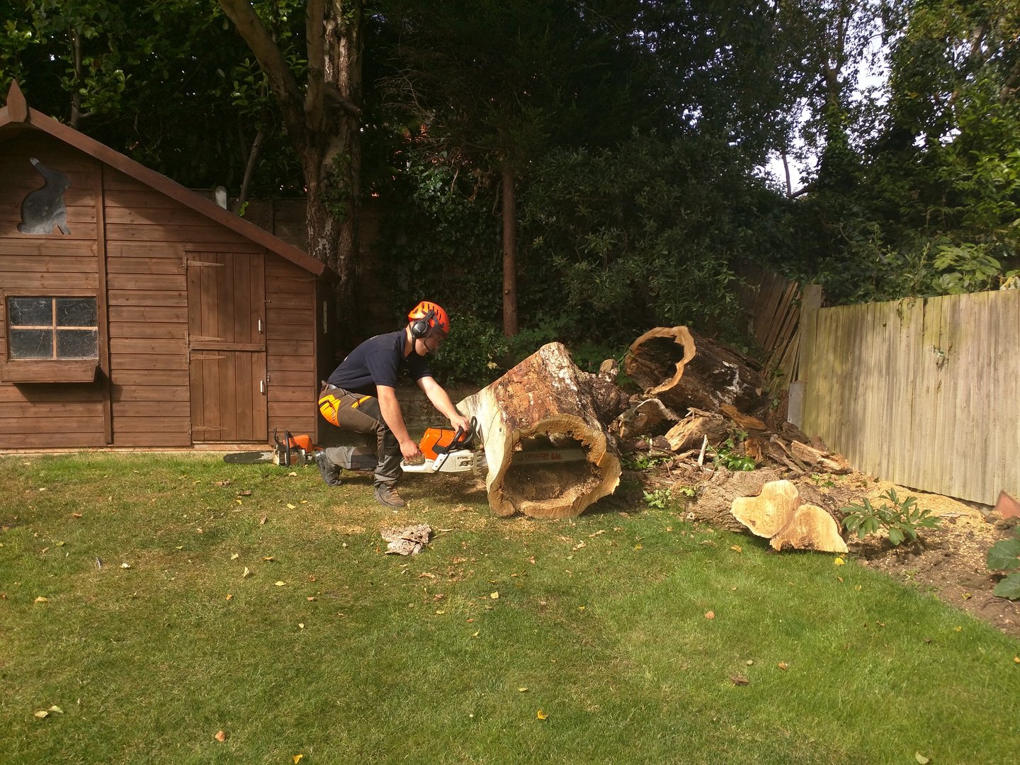 Protect Your Property From Falling Tree Damages By Opting For Tree Surgeons Harrow